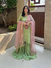 Swan dresss